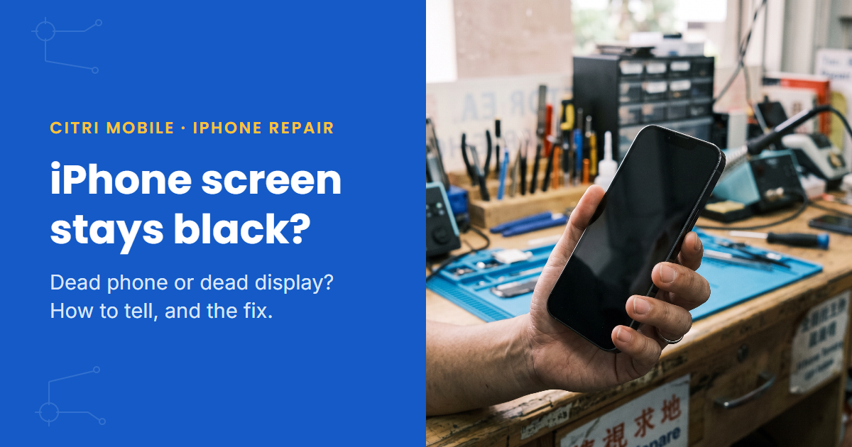 iPhone black screen repair Singapore