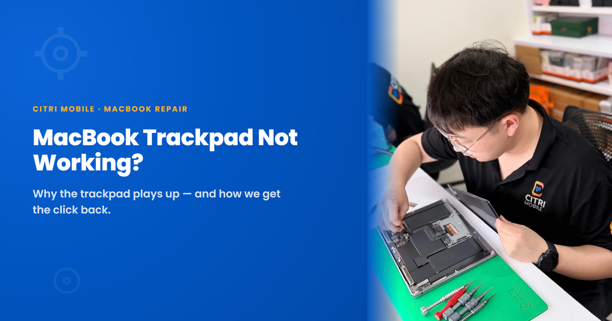 MacBook Trackpad Not Working? Here’s What You Can Do